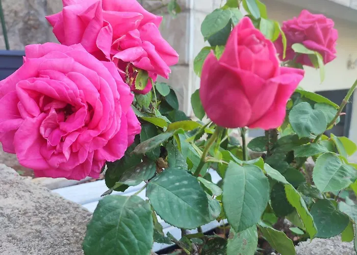 アパート Enjoy & Relax *